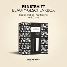 Sebastian Professional Penetrait Geschenkeset