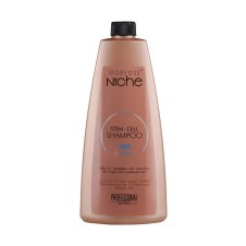 Morfose Niche Pro. Bond Repair Shampoo 400ml